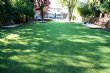 Lifestyle View of a Garden using Artificial Grass